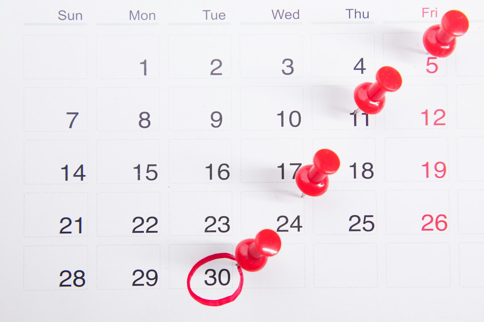 Date Calculator — Add, Subtract & Find Days Between Dates