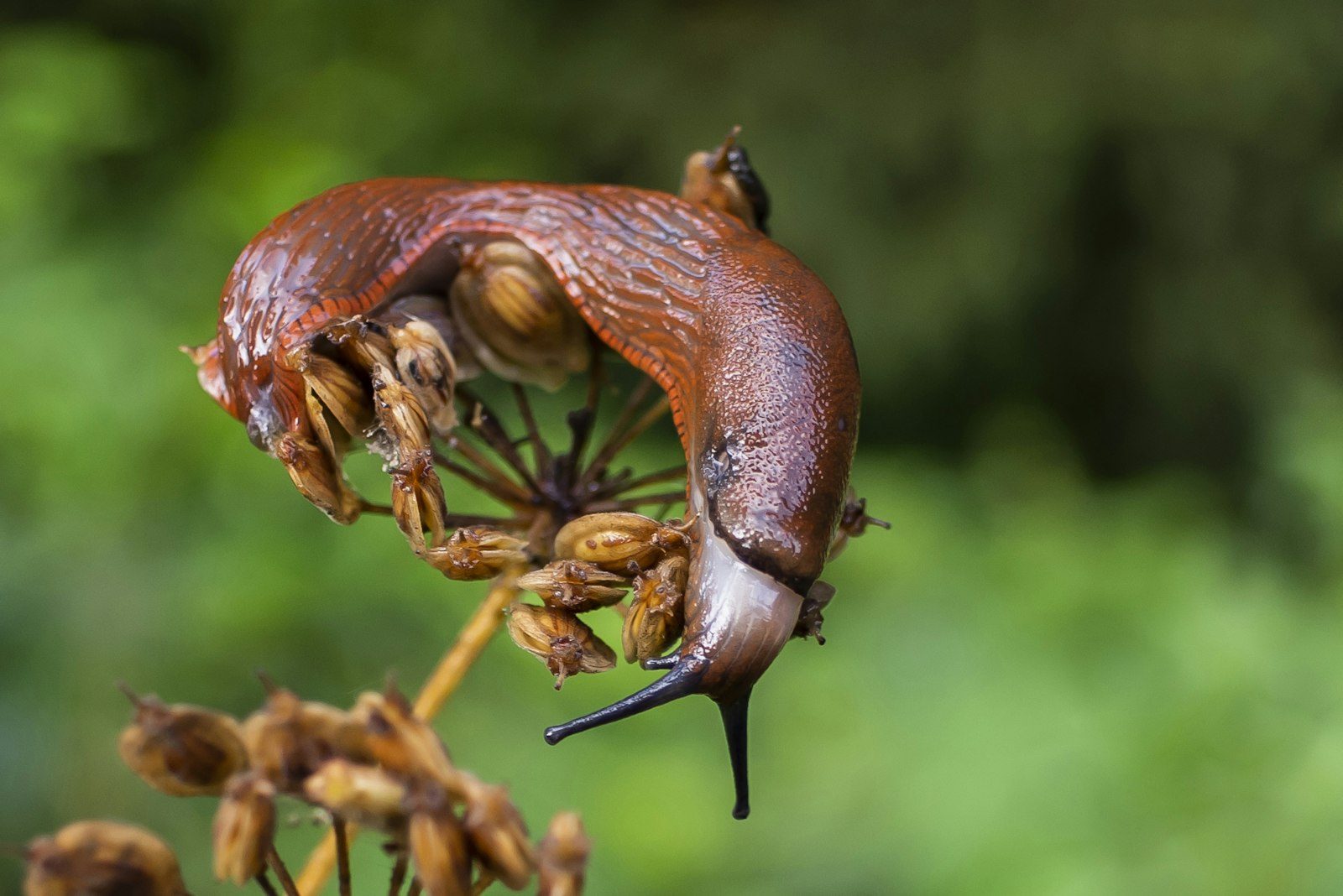 URL Design: Why Your Slug Is a Commitment — and How to Get It Right