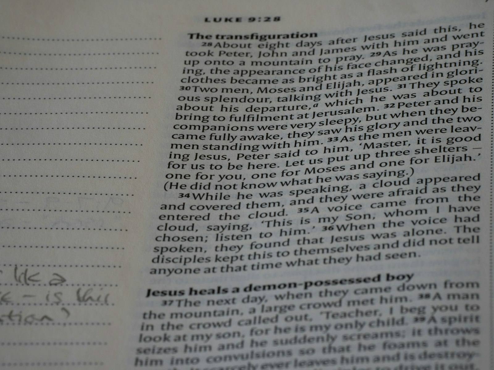 Text Truncator — Shorten Any Text to a Set Character or Word Limit