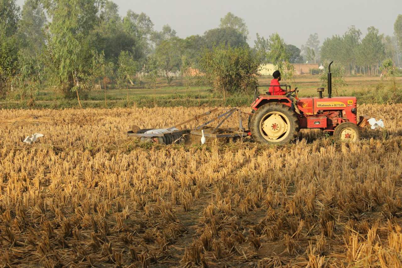 Why Hectares Were Designed for Farmers and How Area Measurement Works in Agriculture, Carbon, and Urban Planning