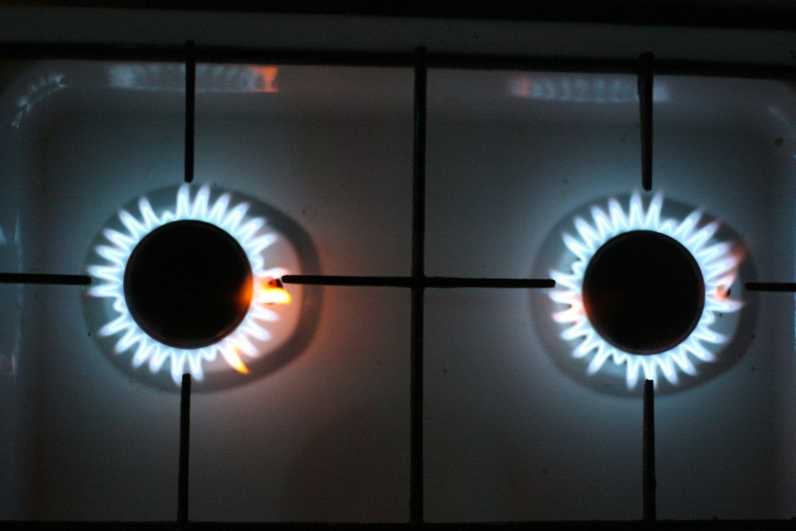 Fan Oven vs Conventional, Gas Marks, and the Maillard Reaction — Why Cooking Temperature Is More Than Just a Number