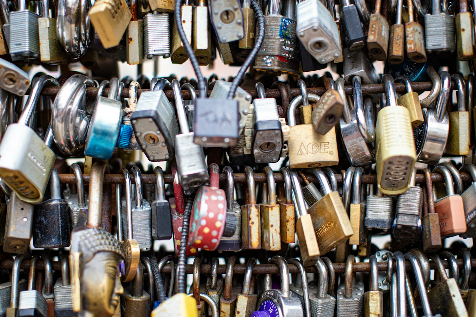 Password Generator — Create Strong, Random Passwords Instantly