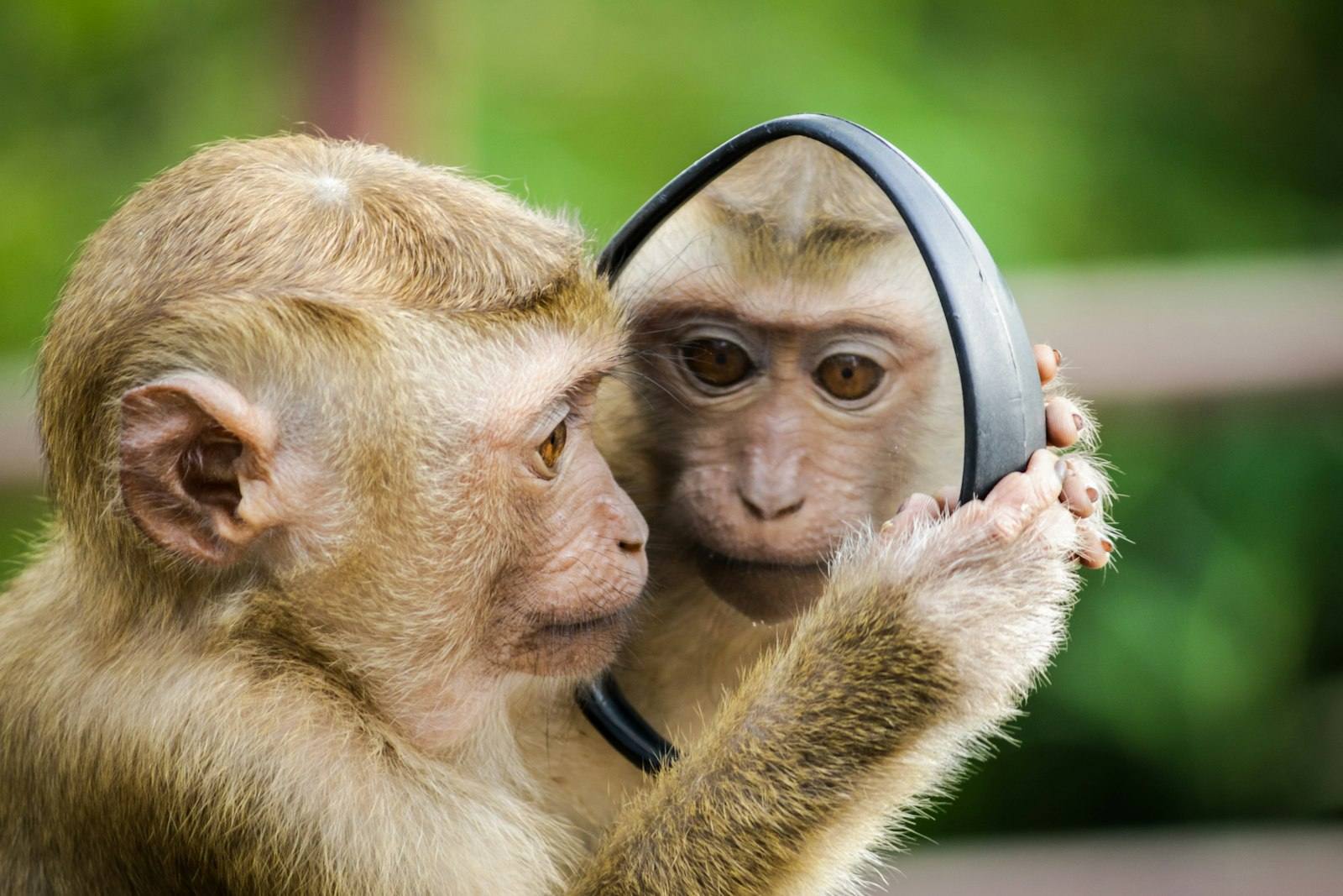 Mirror Writing, Palindromes, and Da Vinci: The Surprising History of Reversed Text