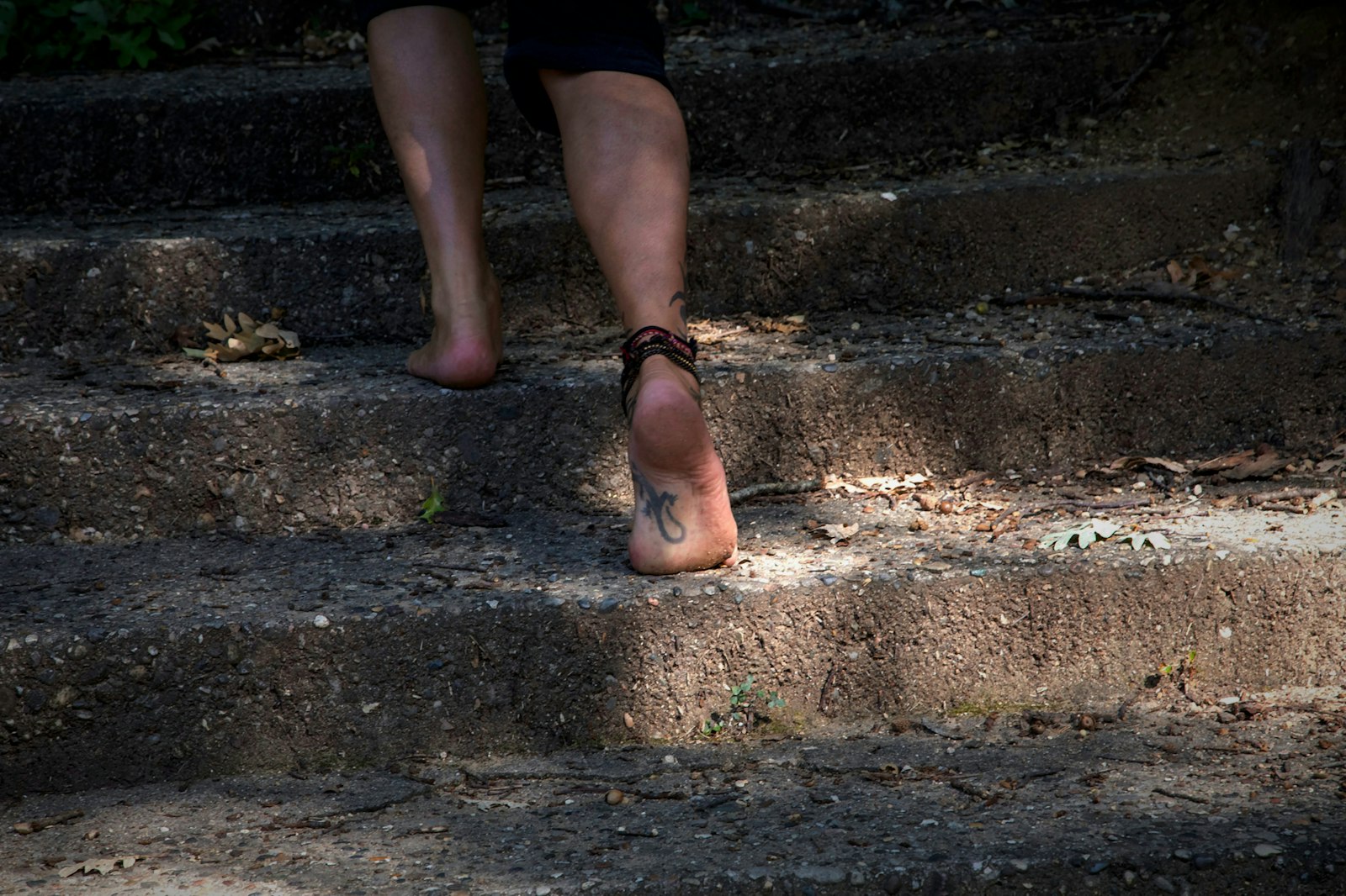 Steps to Calories Calculator — Find Out What Your Daily Steps Are Burning