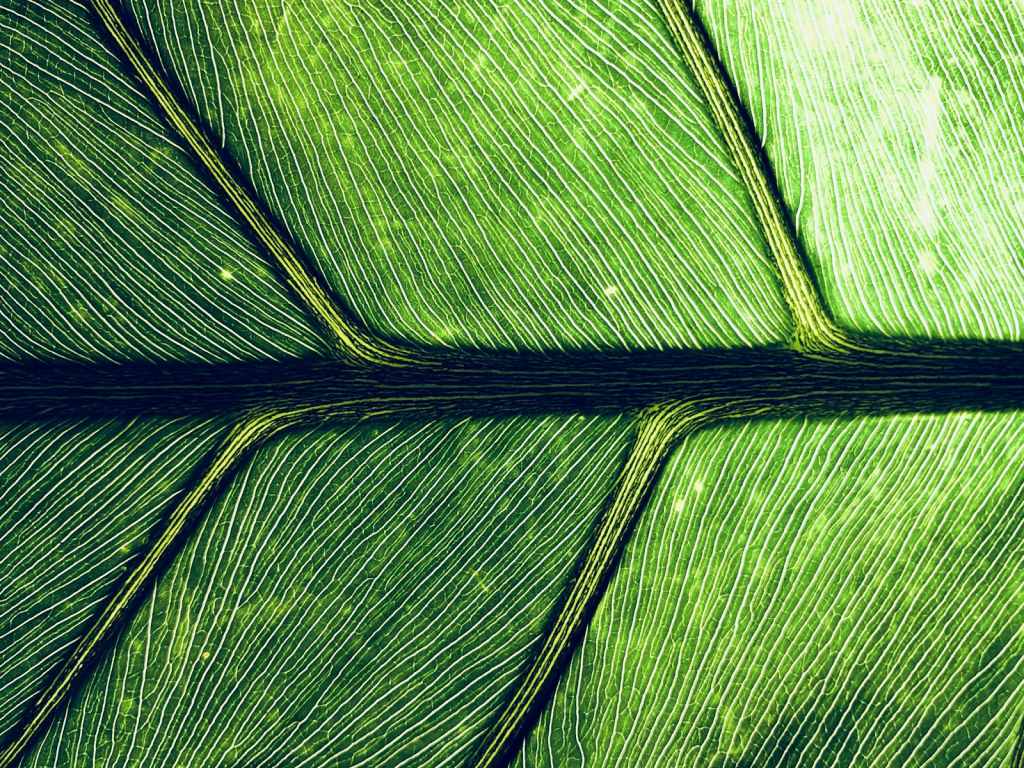 Organic CTR Optimisation: What Actually Makes People Click Your Search Result